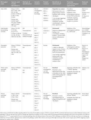 Microglia: A pharmacological target for the treatment of age-related cognitive decline and Alzheimer’s disease